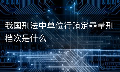 我国刑法中单位行贿定罪量刑档次是什么