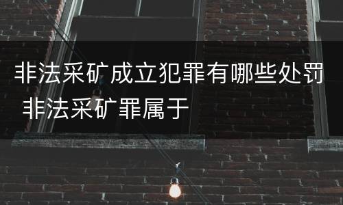 非法采矿成立犯罪有哪些处罚 非法采矿罪属于