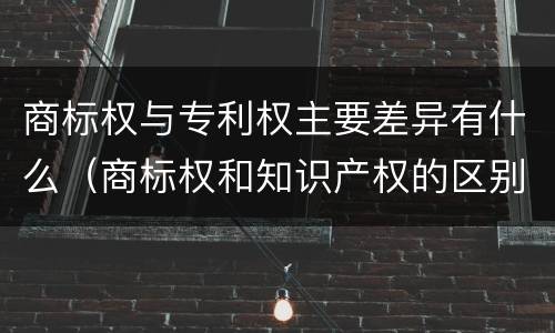 商标权与专利权主要差异有什么（商标权和知识产权的区别）