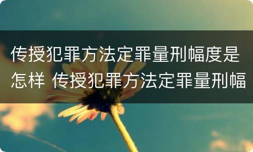 传授犯罪方法定罪量刑幅度是怎样 传授犯罪方法定罪量刑幅度是怎样计算的