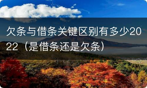 欠条与借条关键区别有多少2022（是借条还是欠条）