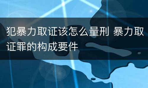 犯暴力取证该怎么量刑 暴力取证罪的构成要件