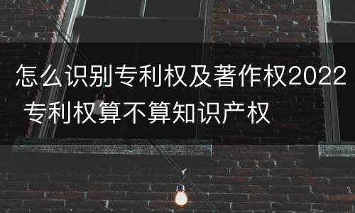 怎么识别专利权及著作权2022 专利权算不算知识产权