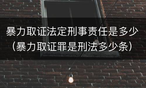 暴力取证法定刑事责任是多少（暴力取证罪是刑法多少条）