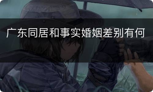 广东同居和事实婚姻差别有何