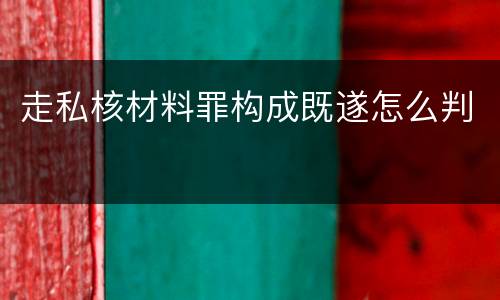 走私核材料罪构成既遂怎么判