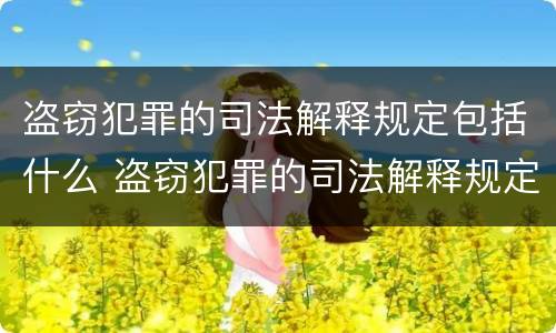 盗窃犯罪的司法解释规定包括什么 盗窃犯罪的司法解释规定包括什么内容