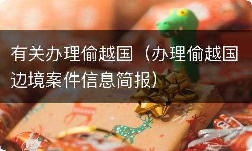 有关办理偷越国（办理偷越国边境案件信息简报）