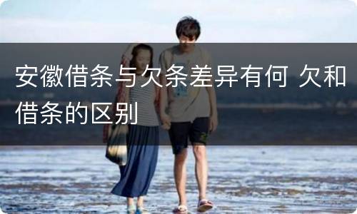 安徽借条与欠条差异有何 欠和借条的区别