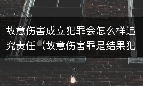 故意伤害成立犯罪会怎么样追究责任（故意伤害罪是结果犯吗）
