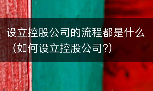 设立控股公司的流程都是什么（如何设立控股公司?）