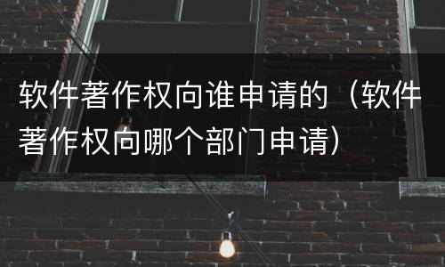 软件著作权向谁申请的（软件著作权向哪个部门申请）