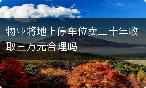 物业将地上停车位卖二十年收取三万元合理吗