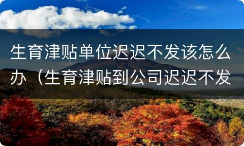生育津贴单位迟迟不发该怎么办（生育津贴到公司迟迟不发怎么办）