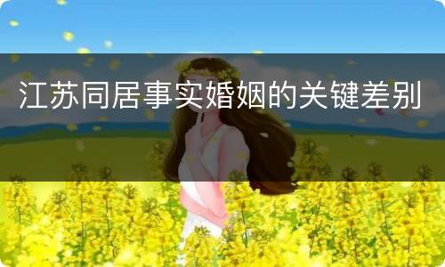 江苏同居事实婚姻的关键差别