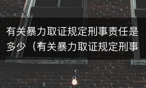 有关暴力取证规定刑事责任是多少（有关暴力取证规定刑事责任是多少天）