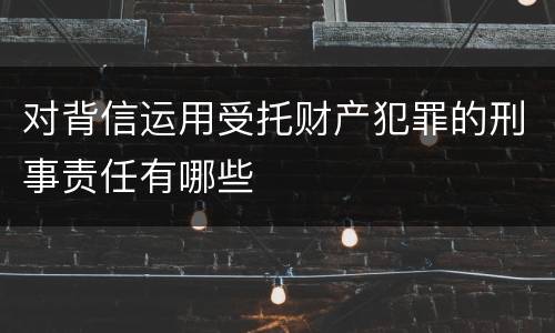 对背信运用受托财产犯罪的刑事责任有哪些