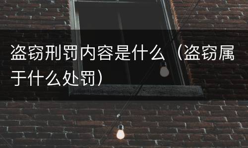 盗窃刑罚内容是什么（盗窃属于什么处罚）