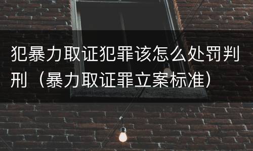 犯暴力取证犯罪该怎么处罚判刑（暴力取证罪立案标准）