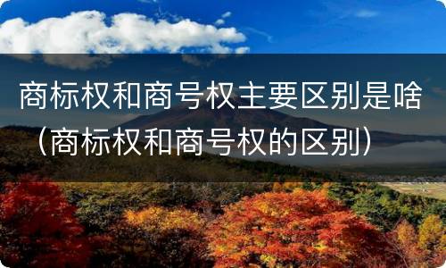 商标权和商号权主要区别是啥（商标权和商号权的区别）
