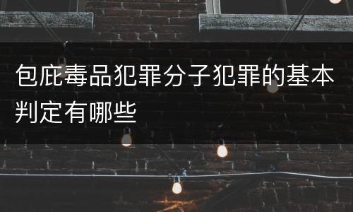 包庇毒品犯罪分子犯罪的基本判定有哪些