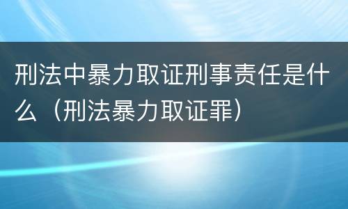 刑法中暴力取证刑事责任是什么（刑法暴力取证罪）