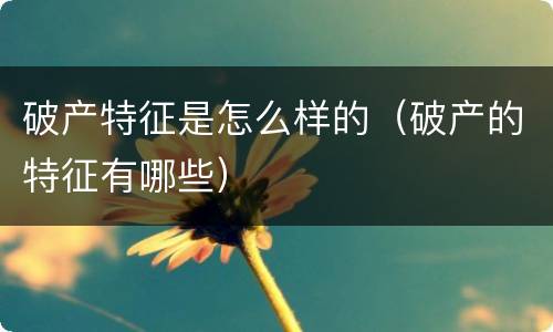 破产特征是怎么样的（破产的特征有哪些）