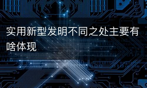 实用新型发明不同之处主要有啥体现