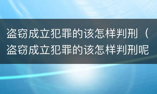 盗窃成立犯罪的该怎样判刑（盗窃成立犯罪的该怎样判刑呢）