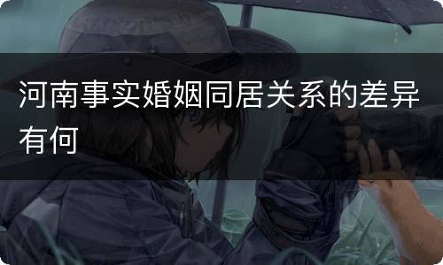 河南事实婚姻同居关系的差异有何