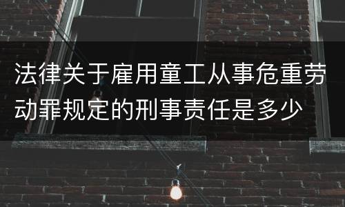 法律关于雇用童工从事危重劳动罪规定的刑事责任是多少