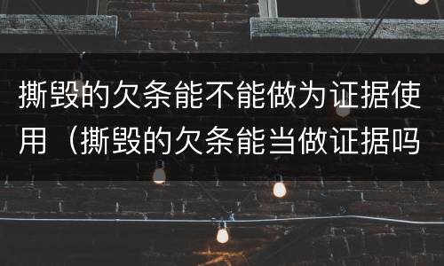 撕毁的欠条能不能做为证据使用（撕毁的欠条能当做证据吗）