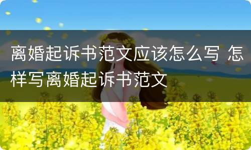 离婚起诉书范文应该怎么写 怎样写离婚起诉书范文