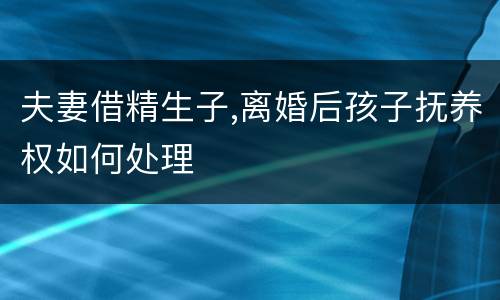 夫妻借精生子,离婚后孩子抚养权如何处理
