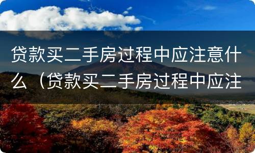 贷款买二手房过程中应注意什么（贷款买二手房过程中应注意什么问题）