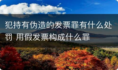 犯持有伪造的发票罪有什么处罚 用假发票构成什么罪