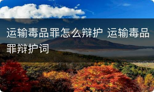 运输毒品罪怎么辩护 运输毒品罪辩护词