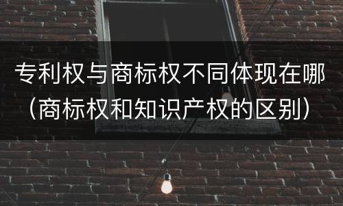 专利权与商标权不同体现在哪（商标权和知识产权的区别）