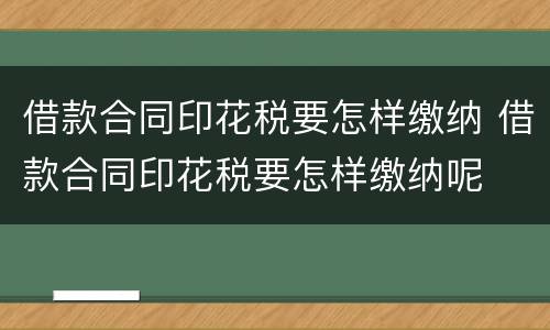 借款合同印花税要怎样缴纳 借款合同印花税要怎样缴纳呢