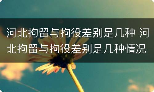 河北拘留与拘役差别是几种 河北拘留与拘役差别是几种情况
