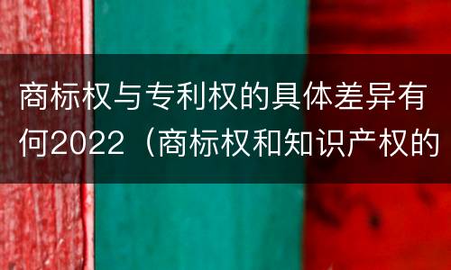 商标权与专利权的具体差异有何2022（商标权和知识产权的区别）