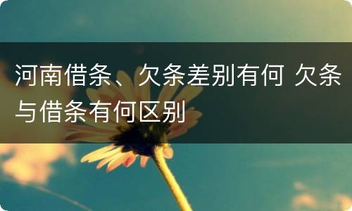 河南借条、欠条差别有何 欠条与借条有何区别