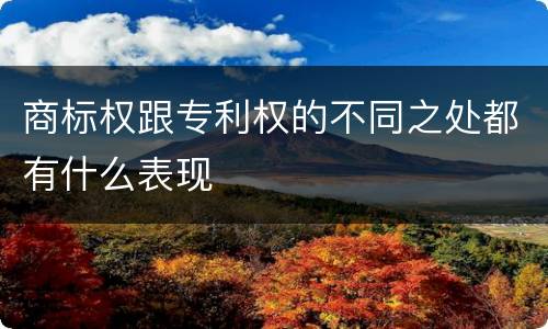 商标权跟专利权的不同之处都有什么表现