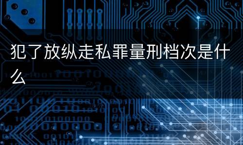 犯了放纵走私罪量刑档次是什么