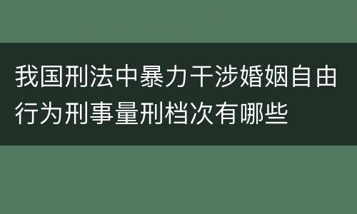 我国刑法中暴力干涉婚姻自由行为刑事量刑档次有哪些