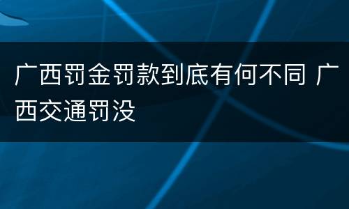 广西罚金罚款到底有何不同 广西交通罚没