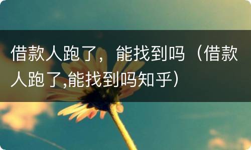 借款人跑了，能找到吗（借款人跑了,能找到吗知乎）