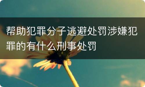帮助犯罪分子逃避处罚涉嫌犯罪的有什么刑事处罚
