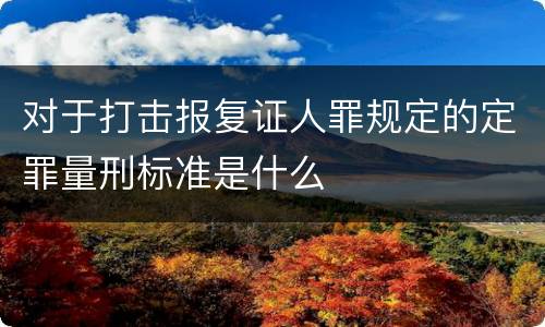 对于打击报复证人罪规定的定罪量刑标准是什么