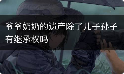 爷爷奶奶的遗产除了儿子孙子有继承权吗
